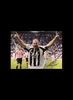 Alan Shearer signed 16×12 Newcastle United photo - Unframed + £0.00