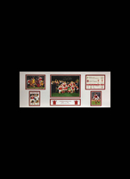 Alan Smith signed 1994 ECWC storyboard. - Standard Framing + £35.00