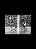 Archie Gemmill signed 1978 World Cup photo - Unframed + £0.00