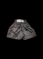 Jake La Motta Raging Bull signed boxing trunks - Framed + £95.00