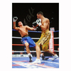 James Degale signed 16x12 photo