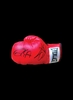 Joe Calzaghe & Roy Jones Junior dual signed boxing glove - Framed + £95.00