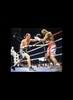 Joe Calzaghe signed 16x20 photo vs Bernard Hopkins - Unframed + £0.00