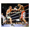 Joe Calzaghe signed 16x20 photo vs Bernard Hopkins