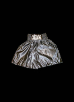 Joe Calzaghe signed boxing trunks - Framed + £95.00