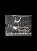 Malcolm Macdonald signed Arsenal 10x8 photo. - Standard Framing + £35.00