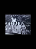 Manchester United 1968 European Cup Final photo signed by 8 - Unframed + £0.00
