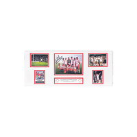 Mark Hughes signed 1991 ECWC Final signed storyboard