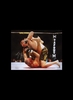 Michael Bisping signed 16x12 photo - Premium Framing + £45.00