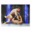 Michael Bisping signed 16x12 photo