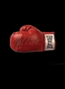 Mike Tyson & Lennox Lewis dual signed boxing glove - Framed + £95.00