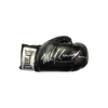 Mike Tyson & Lennox Lewis dual signed boxing glove