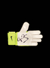 Peter Schmeichel signed goalkeeper glove - Goalkeeper glove framing + £65.00