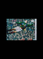 Peter Schmeichel signed "The Save" photo - Premium Framing + £45.00
