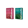 Annabella- Angel Aqua Expert Hydrated Facial Mask - 10pc (1ea) & Annabella - Haematococcus Pluvialis Facial Repair Mask - 10pc (1ea)