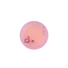 BANILA CO - B. By Banila Priming Veil Cheek - 6g - CR01 Refined