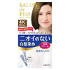 Dariya - Salon De Pro - Hair Color Cream - 1box - 4K Chestnut light brown