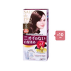 Dariya - Salon de Pro Grey Hair Coloring Liquid - 1set - 6 Dark Brown (10ea) Set