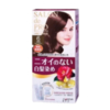 Dariya - Salon de Pro Grey Hair Coloring Liquid - 1set - 6 Dark Brown