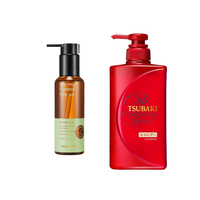 Healing Bird X Shiseido Anti-Frizz Treatment Set