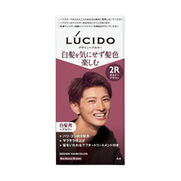 Mandom - Lucido Design Hair Color - 1 set - Bordeaux Brown