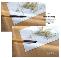 NUSVAN - Eyeshadow Brush Set - 5pcs