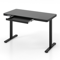 120 x 60 CM Whole-Piece Glass Standing Desk with Drawers,  Height Adjustable Desk,  Electric Stand up Desk with Writable Tempered Glass Top,  USB Type-C 