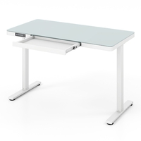 120 x 60 CM Whole-Piece Glass Standing Desk with Drawers,  Height Adjustable Desk,  Electric Stand up Desk with Writable Tempered Glass Top,  USB Type-C 