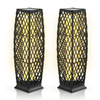 2 Pieces Outdoor Solar-Powered Floor Lamp Set-Black