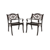 Cast Aluminum Patio Chairs Set of 2 with Armrests and Curved Seats-B