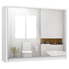 Double Mirrored Door Cabinet with Storage Shelf