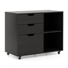 Mobile File Cabinet with 3 Pull-out Drawers and Adjustable Shelf-Black