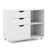 Mobile File Cabinet with 3 Pull-out Drawers and Adjustable Shelf-White