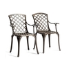 Outdoor Cast Aluminum Dining Chairs Set of 2 with Hollow Design of Back