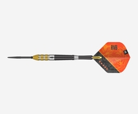 Raymond Van Barneveld 95 Gen 4 SP