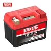 BS Battery Battery Lithium-Iron-Phosphate - BSLi-02 MAX