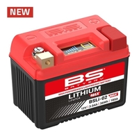 BS Battery Battery Lithium-Iron-Phosphate - BSLi-02 MAX