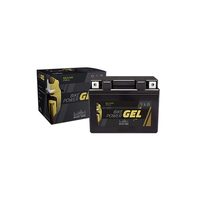 INTACT Bike Power GEL Battery YTX20H-BS