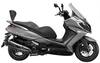 SHAD KIT BACKREST KYMCO DOWNTOWN 125,  Size 25 cm,  Size 25 cm