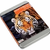 Adopt a Big Cat