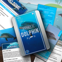 Adopt a Dolphin