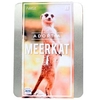Adopt a Meerkat
