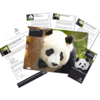 Adopt a Panda