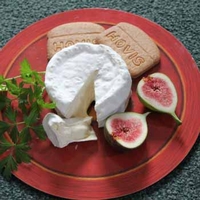 Artisan Cheese Making with Harringtons of Bakewell