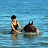 Beach Riding on The Sussex Coast