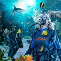 Bear Grylls Adventure Dive
