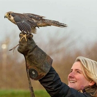 Birds of Prey at The Scottish Deer Centre