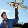 Birds of Prey Experience