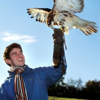 Birds of Prey Experience