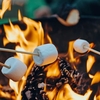 Bushcraft Skills Bristol